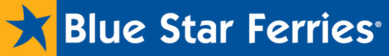 blue_star_logo_sketo_newcolor_nofileto copy